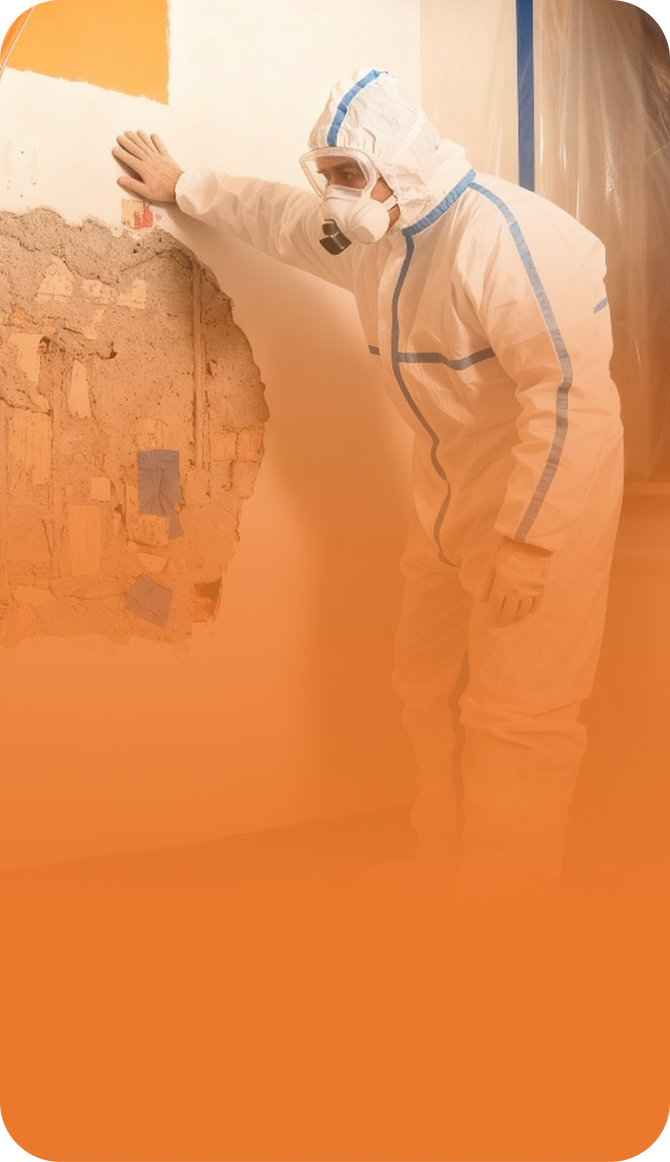 Kostenlose-Inspektion-vor-Ort-durch-unsere-Experten