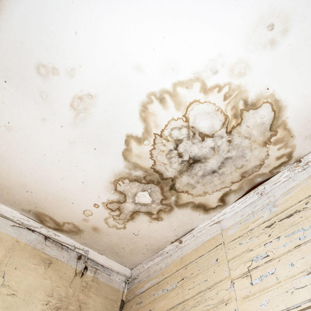 Schimmelflecken an Decke und Wand in einem Wohnraum